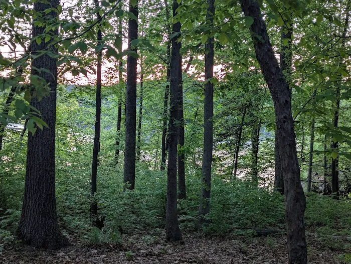 Two Oaks Picture 9