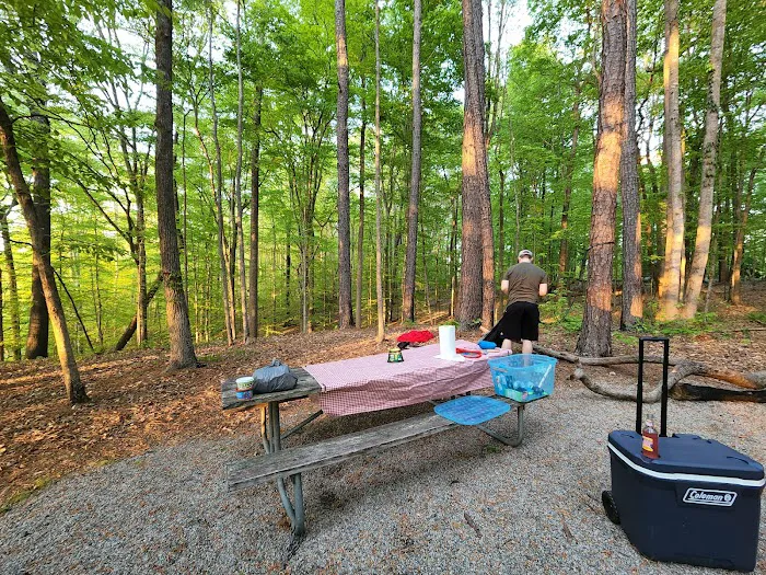 Shinleaf Group Campsites Picture 5