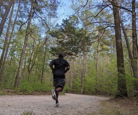 Shinleaf Group Campsites