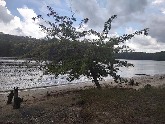 Shinleaf Group Campsites Picture 2