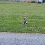 Holly Bluff Family Campground