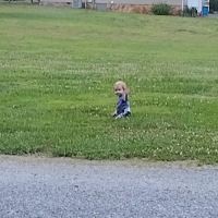 Holly Bluff Family Campground ico