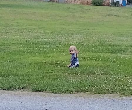 Holly Bluff Family Campground