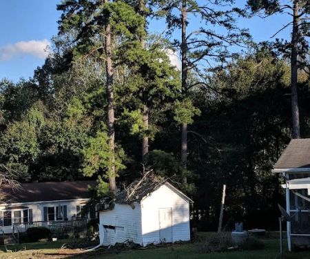 Currytown Trailer Park