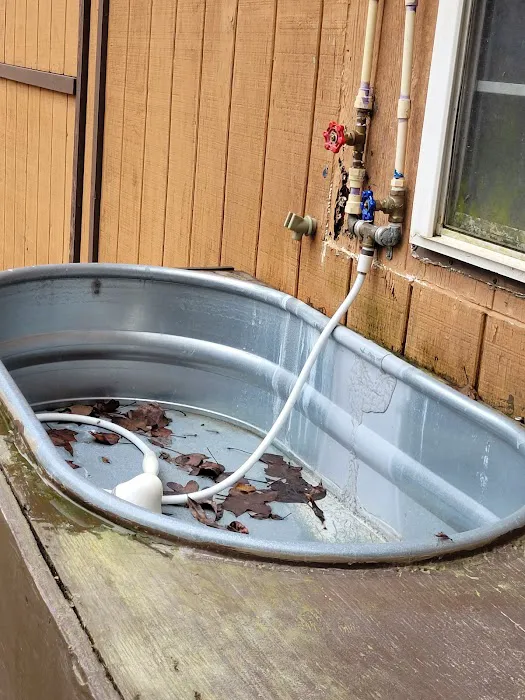 Thousand Trails Forest Lake Picture 1