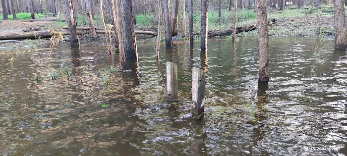 Poplar Point E Loop Campground Picture 4