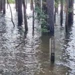 Poplar Point E Loop Campground