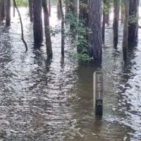 Poplar Point E Loop Campground ico