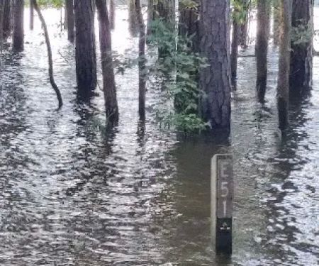 Poplar Point E Loop Campground