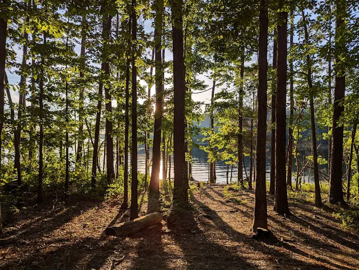 Poplar Point Campground Picture 3