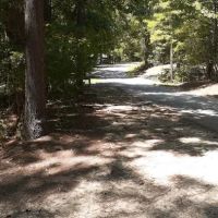 Poplar Point F Loop Campground ico