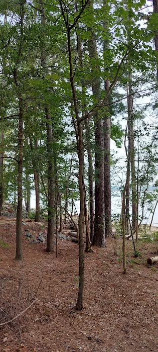 Poplar Point Loop H Picture 1