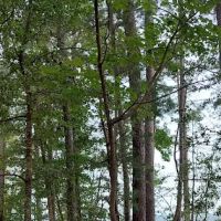 Poplar Point Loop H ico