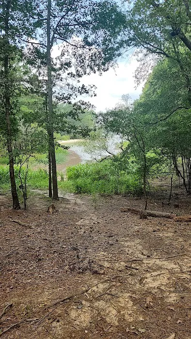Poplar Point Loop H Picture 8