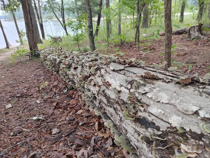 Poplar Point Loop G Picture 7