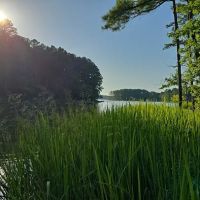 Poplar Point Loop G ico