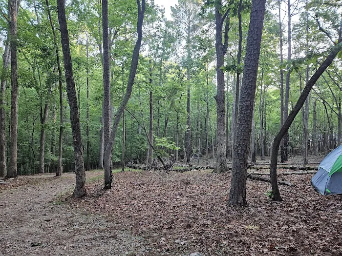 BW Wells Group Campsites 1-5 Picture 6