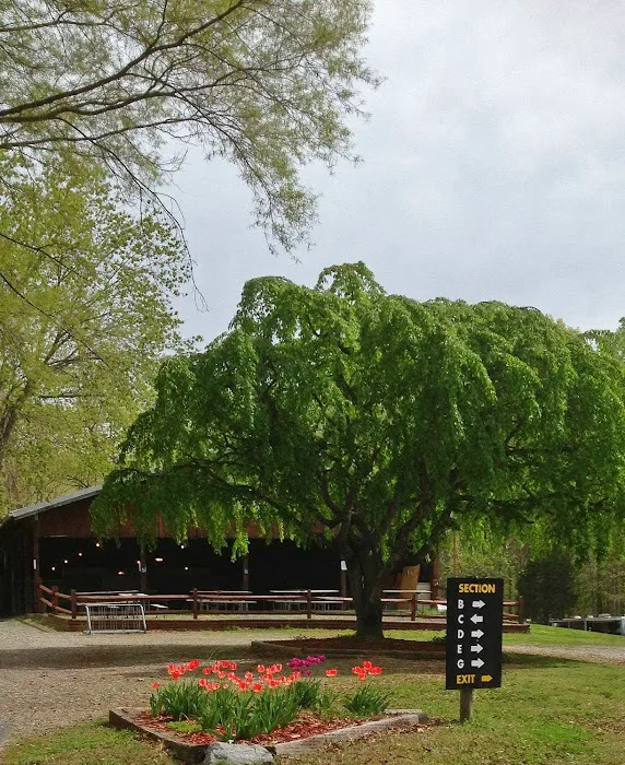 Lake Myers Campground Picture 8