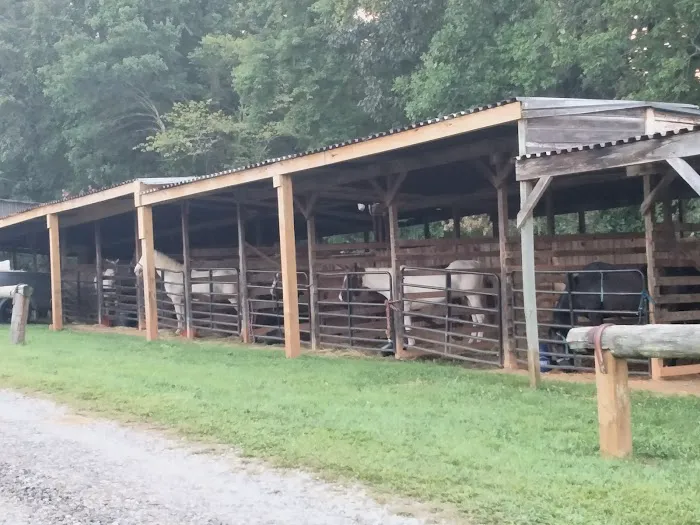 Love Valley Campground Picture 6