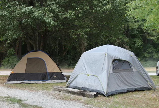 Cobble Hill Campground Picture 4