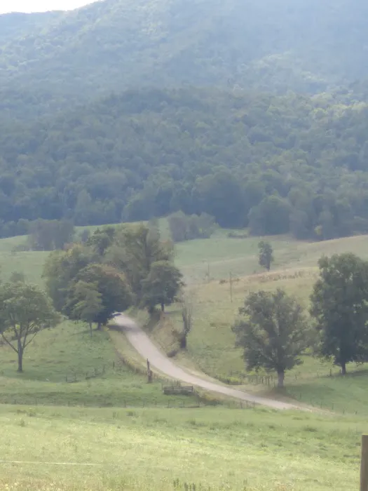 Valley View Cabin Picture 1