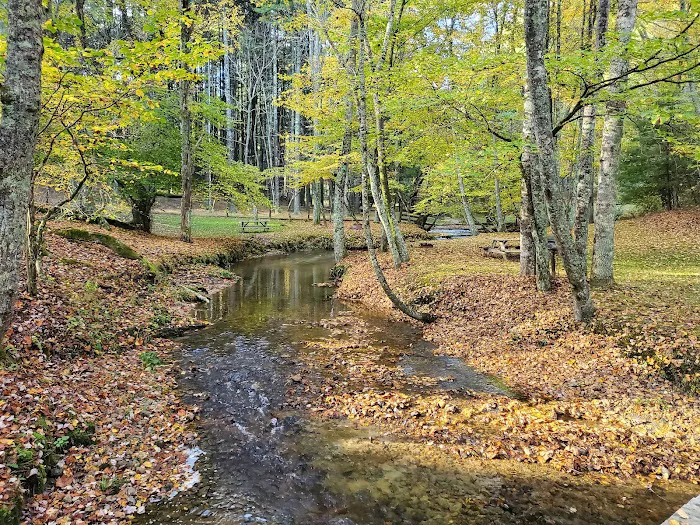 A & C Campground Picture 8