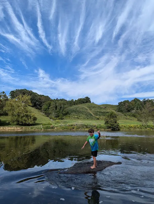 Camp Cheerio Adventure Camp Picture 4