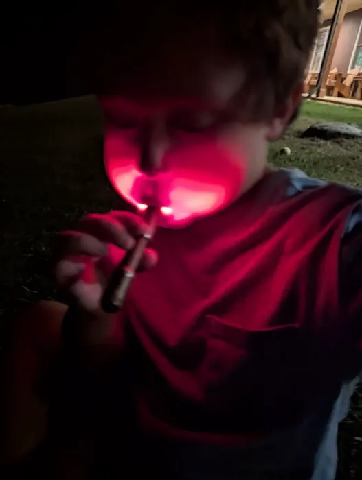 Camp Cheerio Adventure Camp Picture 1