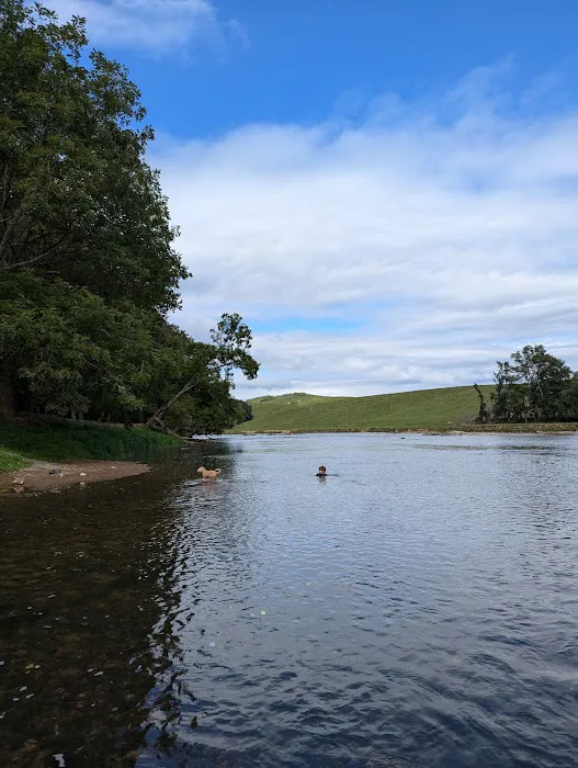 Camp Cheerio Adventure Camp Picture 5