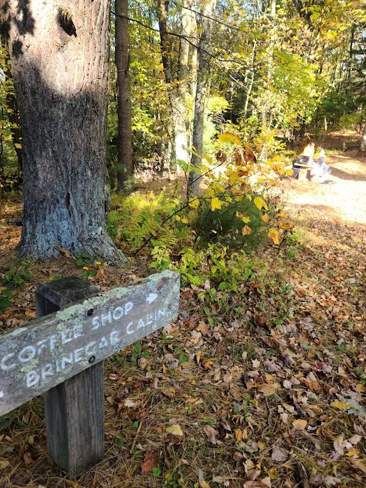 Doughton Park Campground Picture 6