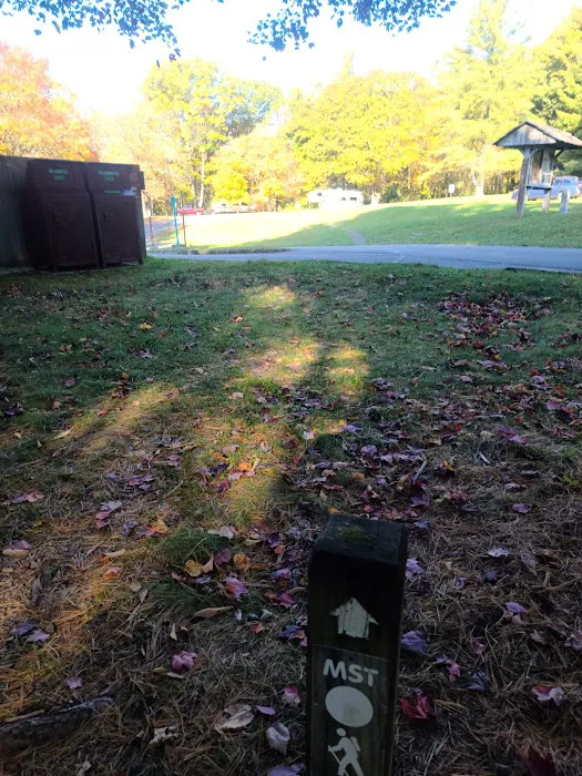 Doughton Park Campground Picture 1