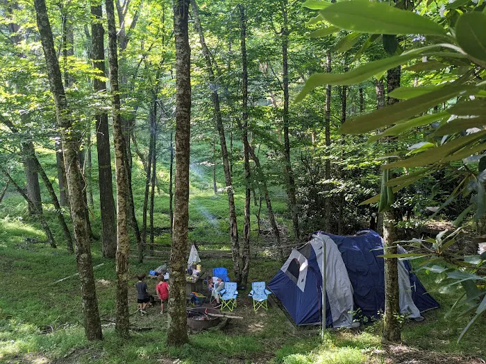 Doughton Park Campground Picture 9