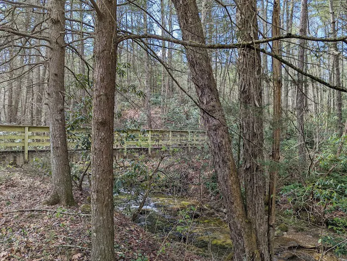 Raccoon Branch Campground Picture 10