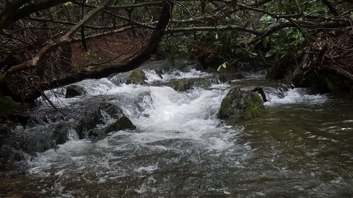 Raccoon Branch Campground Picture 9