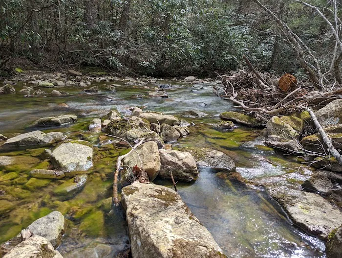 Raccoon Branch Campground Picture 5