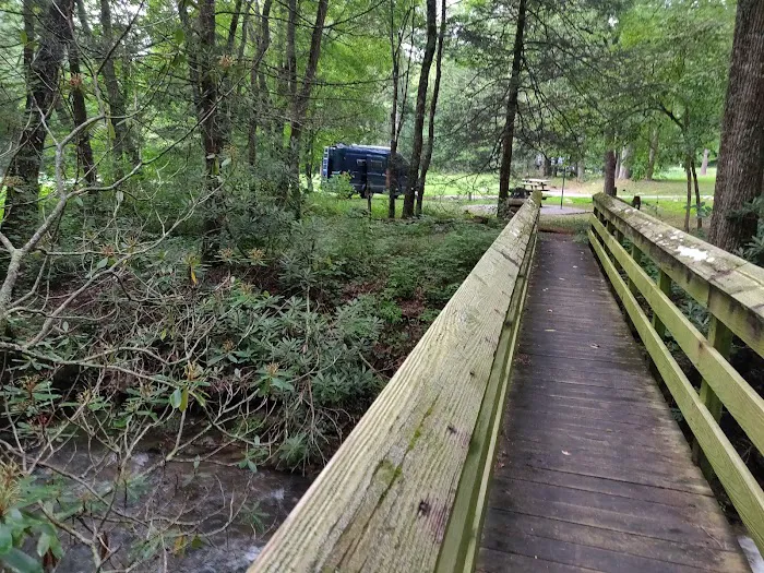 Raccoon Branch Campground Picture 4