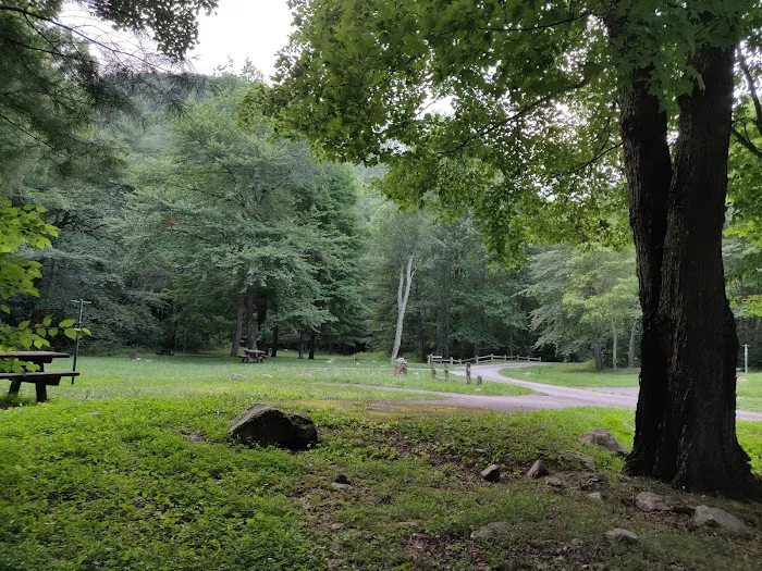 Raccoon Branch Campground Picture 3