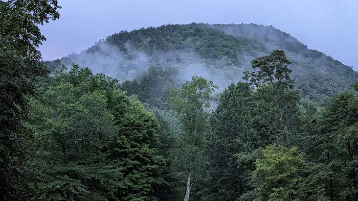 Raccoon Branch Campground Picture 7
