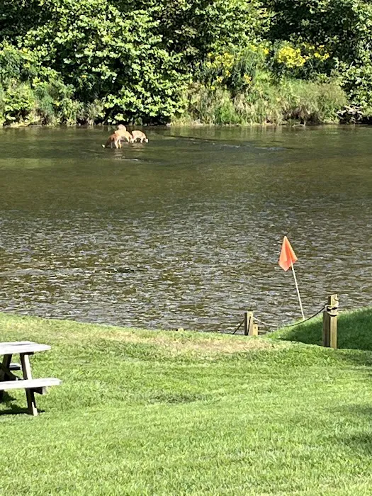 River Country Campground & RV Park Picture 1