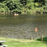 River Country Campground & RV Park