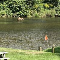 River Country Campground & RV Park ico