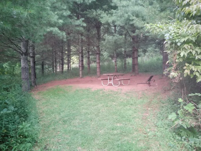 Prathers Creek Campground (Paddle In Only) Picture 3