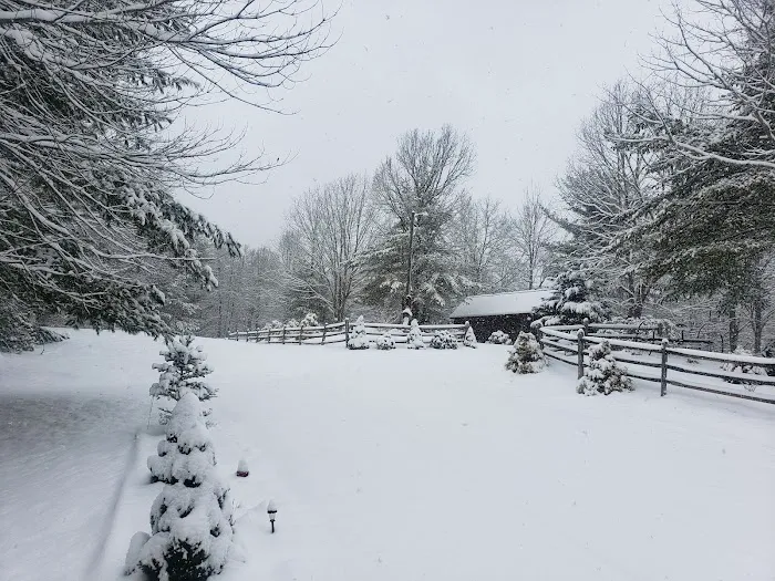 Mountain Side Campground & Cabins Picture 6