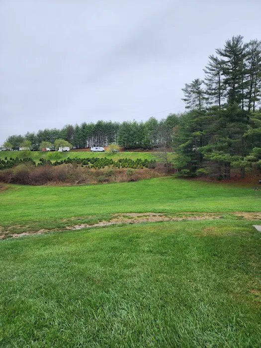 Miller's Campground Picture 4