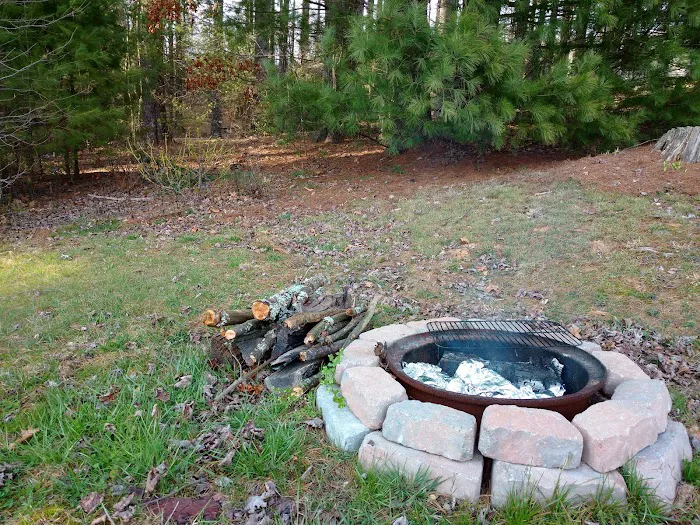 Miller's Campground Picture 10