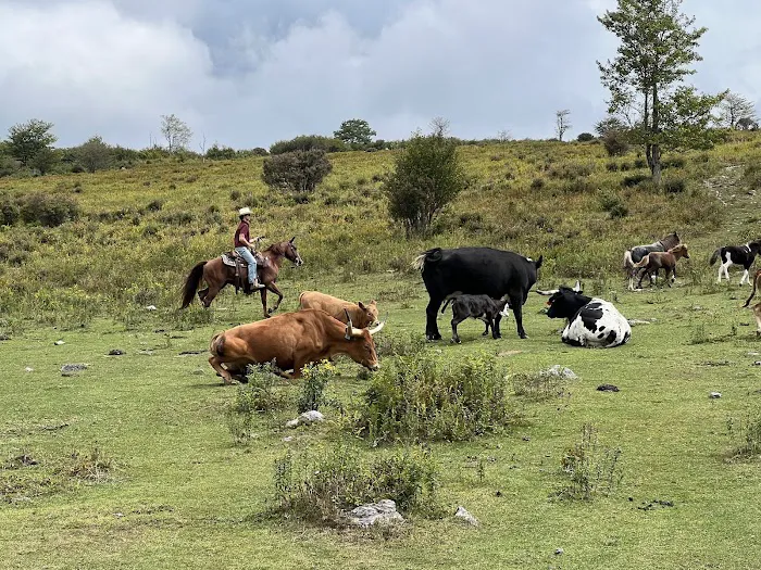 Rocky Hollow Horse Camp Picture 1
