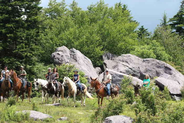 Rocky Hollow Horse Camp Picture 5