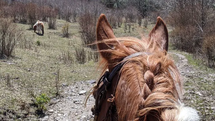 Rocky Hollow Horse Camp Picture 4