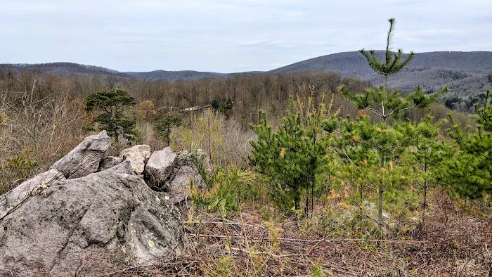 Rocky Hollow Horse Camp Picture 2