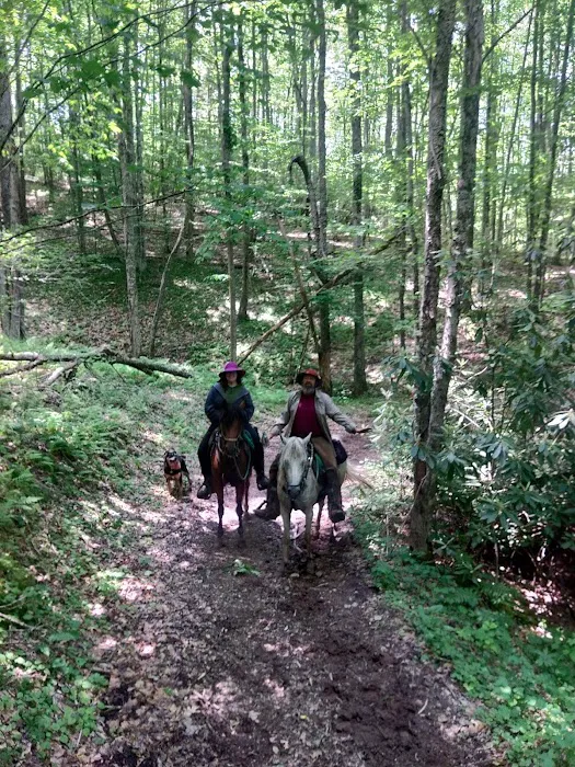 Rocky Hollow Horse Camp Picture 10